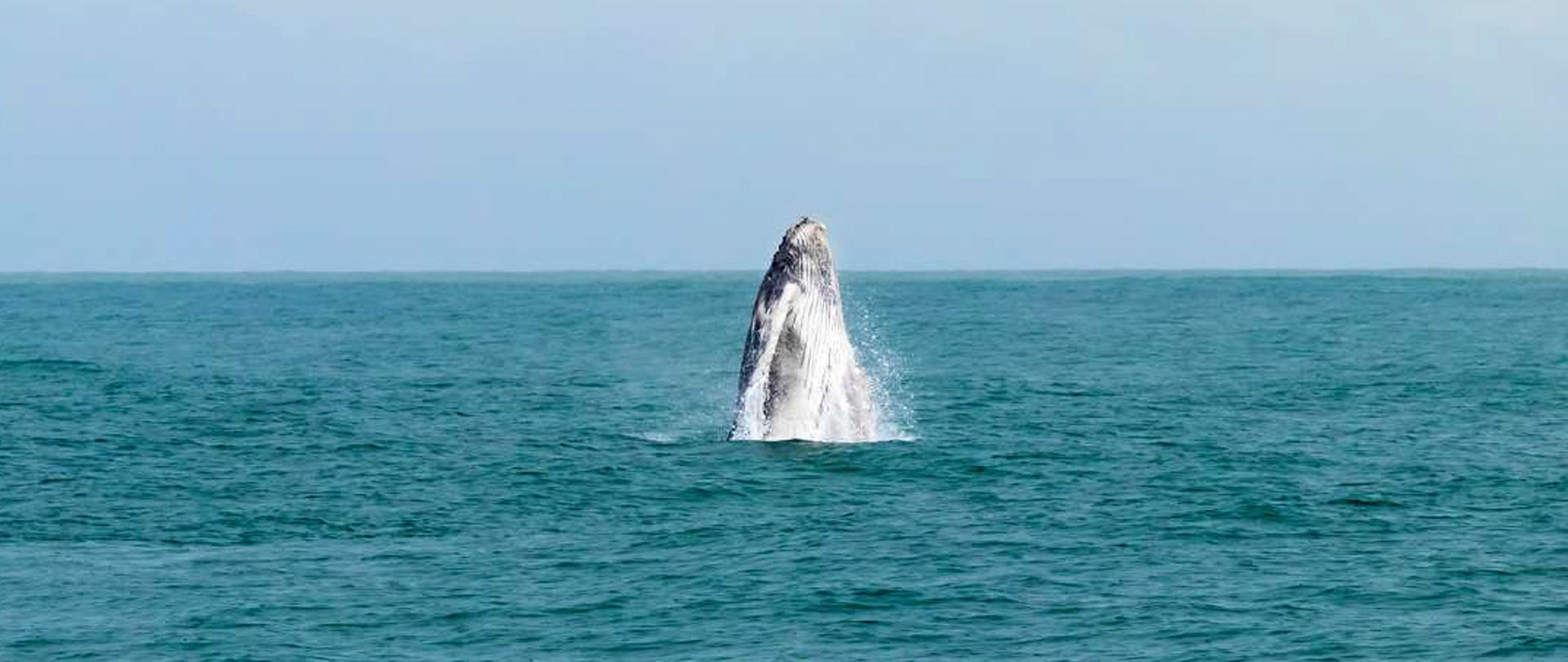 small-on-the-map-6 Montezuma: The Pacific’s Best- Kept Secret and a Refuge for Slow Tourism