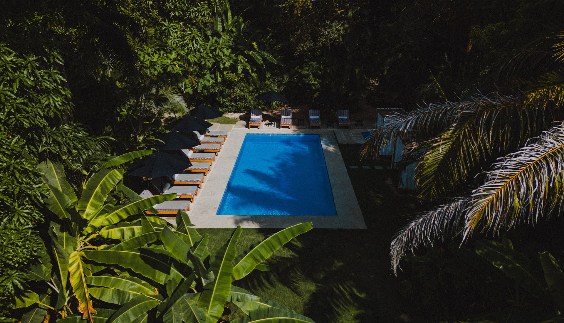 Garden & Pool Garden & Pool