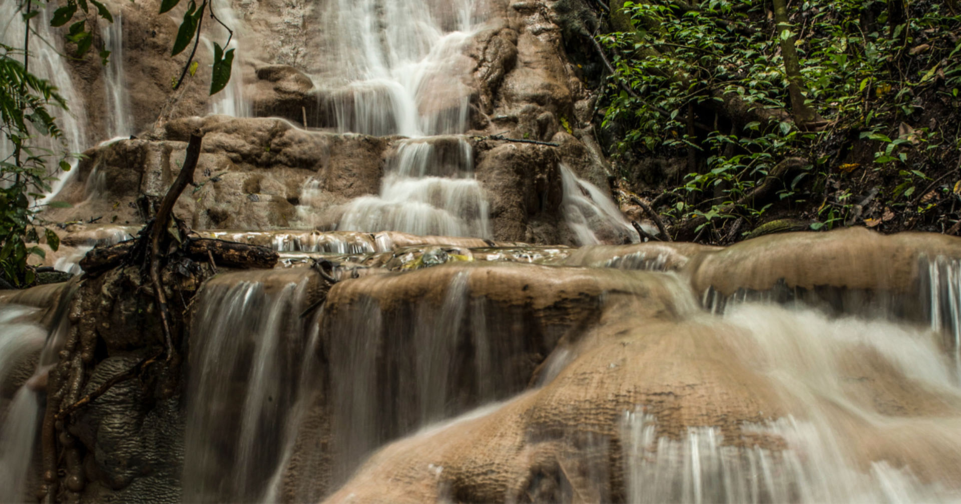 Why Green Season is the Best-Kept Secret for Visiting Montezuma