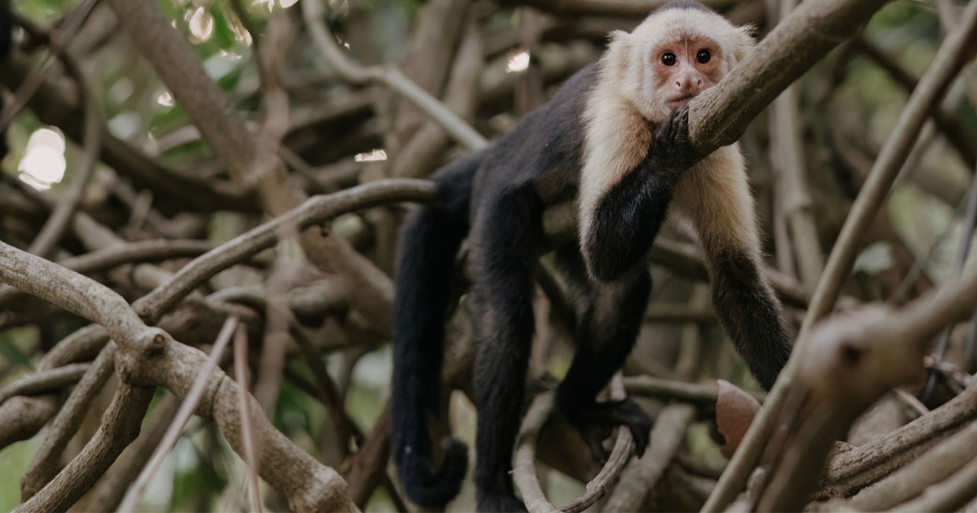 What to pack for Montezuma